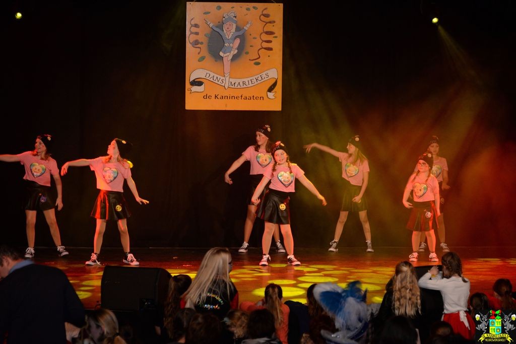 ../Images/Dansmarieke festival 2018 371.jpg